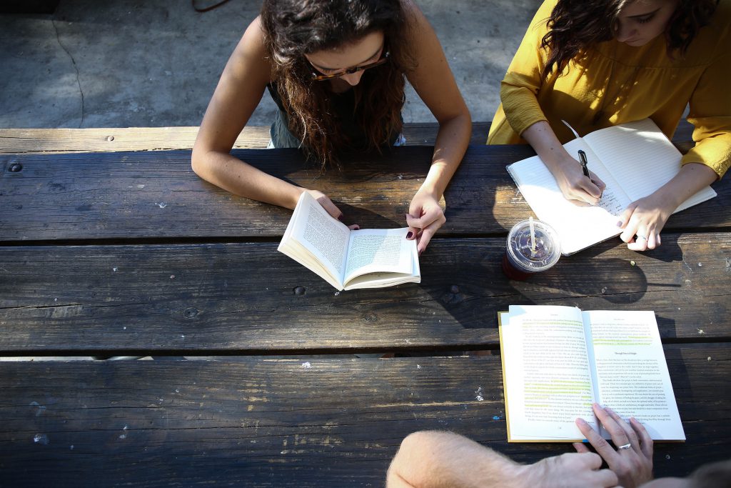 Women studying at a picnic table